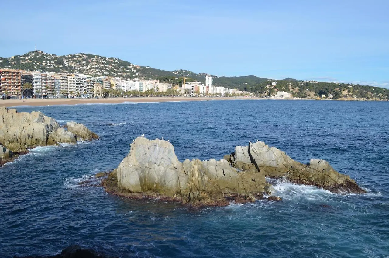 Villa Rosa 10 Personas Montbarbat Costa Brava Massanet De La Selva 0*,
